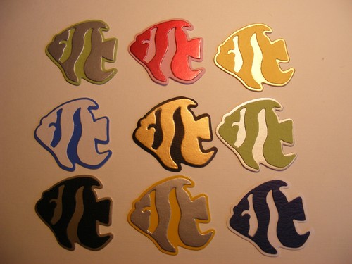 Fische aquarium engel riff - 6,